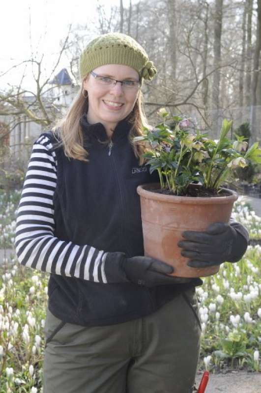 Dorrit Klinker Brodersen